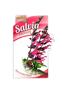Amante label.png